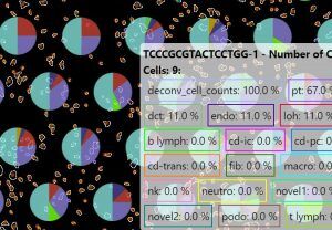 transcriptomics_visualization_image | Zifo