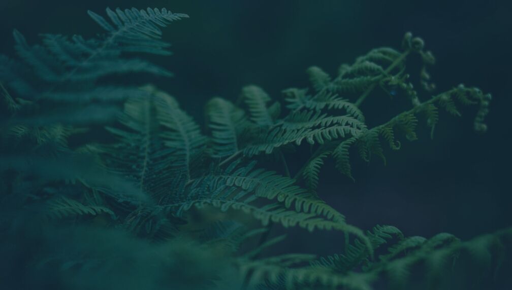 gxp-sass-content-image | Zifo Gxp Saas Content Image