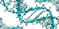 Three blue DNA double helices with black and red atoms, rendered as a 3D schematic model of genetic material