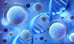cellgene | Zifo cellgene